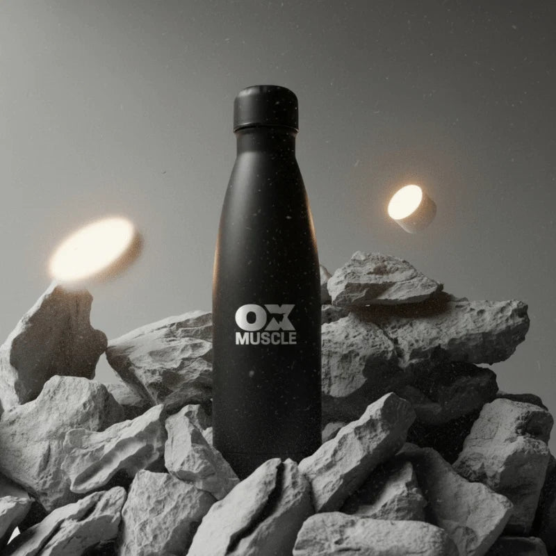 OX Stainless Steel Bottle 550 ml - OX Muscle