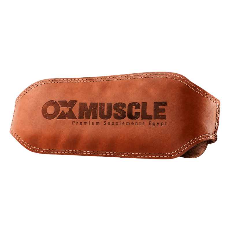 Weightlifting Belt
