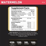 Challenger Nutrition BCAA - Image 3