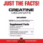 Muscle Meds Creatine Decanate - Image 2