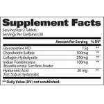 Gat Sport Joint Support - Image 2