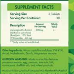 Organic Nation Ashwagandha 600 - Image 2