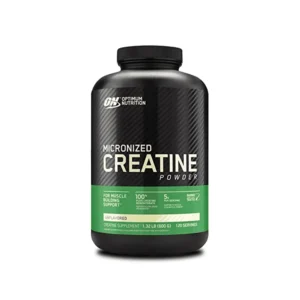 Optimum Nutrition Creatine Micronized Powder 600gm - 120 servings