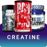 creatine category section