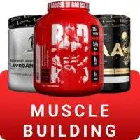 muscle building category section